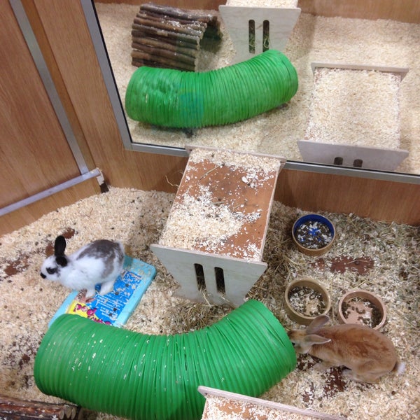 Pets at home. Pets at home