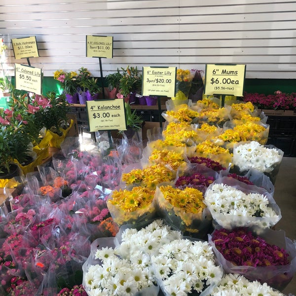 Produce Junction Wynnefield 9 tips