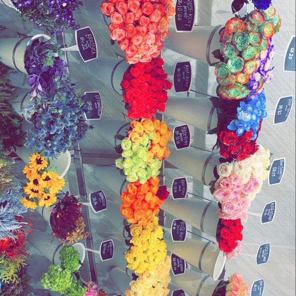 زهرة الربيع Spring Rose الملقا Anas Bin Malek Road