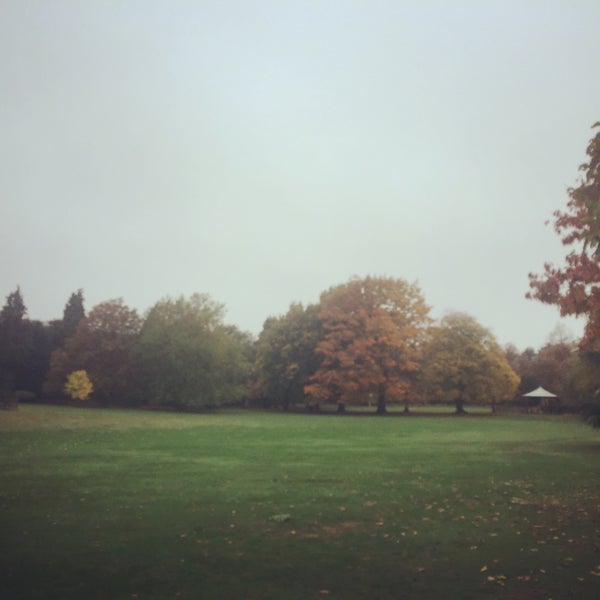 Clarence Park Park