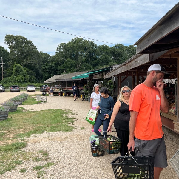 Balsam Farms Town Ln