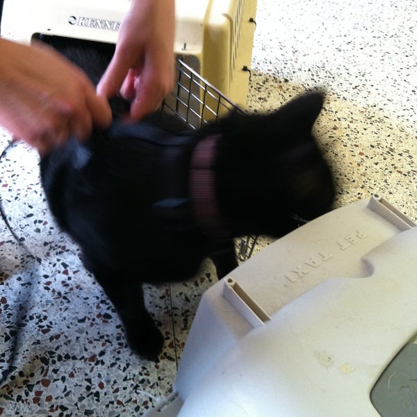 Beaverdale animal cheap hospital
