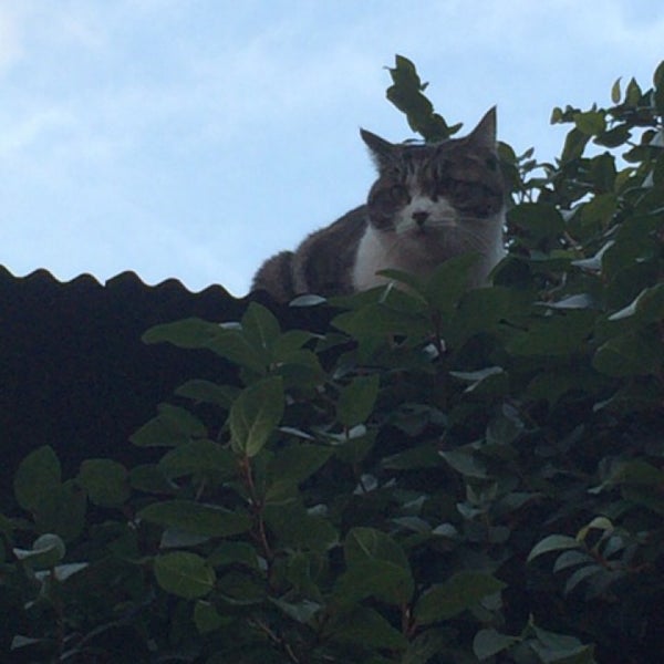 Photos At 大名時計博物館 根津 3 Tips From 145 Visitors