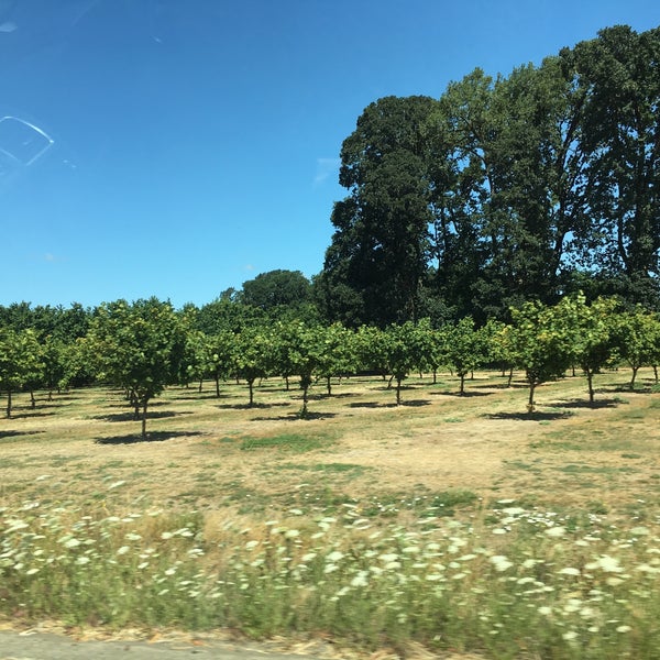 Photo taken at Yamhill Valley Vineyards by Linda on 7/20/2018