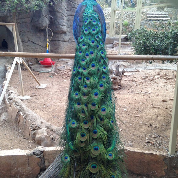 Antalya Hayvanat Bahçesi Zoo in Kepez