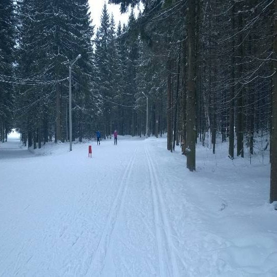 новожилово березники