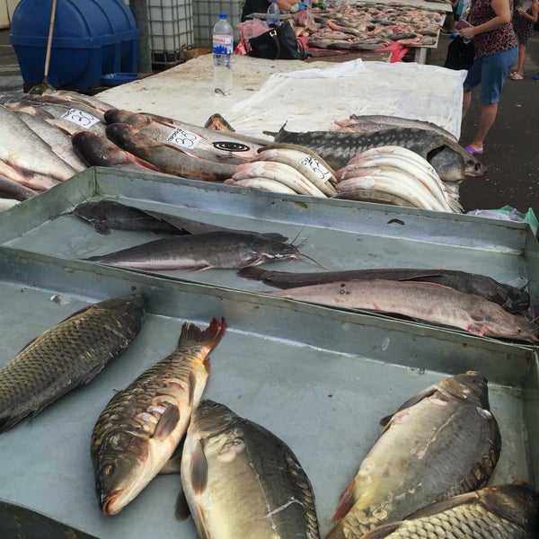 магазин свежей рыбы рядом со мной. продавщица рыбы на рынке. рыбные рядом.