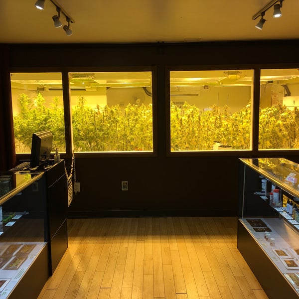Fantastic boutique shop hidden in the basement of an old historic building in Denver. Great staff, great product and you can see their grow from windows in the store!!!
