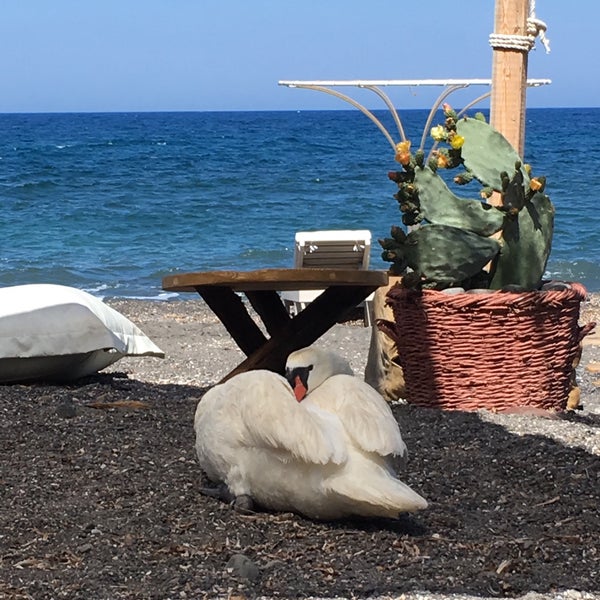 5/10/2016 tarihinde Christos ✈️ C.ziyaretçi tarafından Yalos Santorini'de çekilen fotoğraf