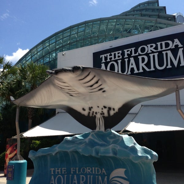 The Florida Aquarium Channel District Tampa, FL