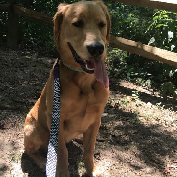 Photos at Walter Reed Community Center Park in Arlington