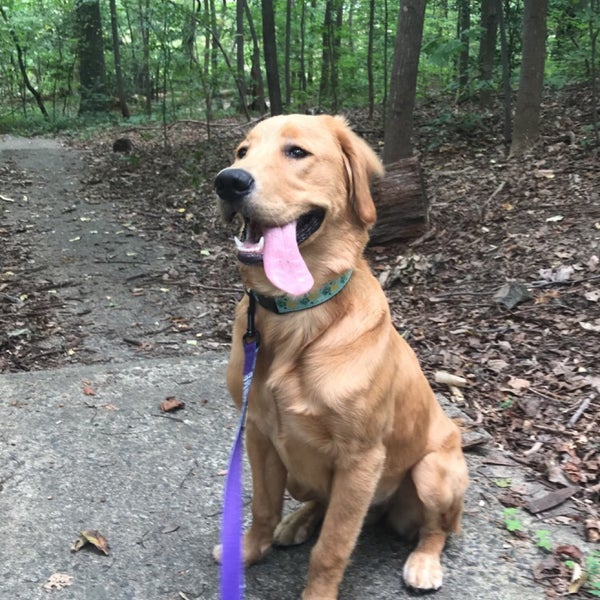 Photos at Walter Reed Community Center Park in Arlington