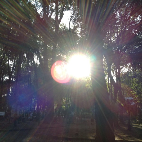 5/1/2013 tarihinde Ricardo M.ziyaretçi tarafından Parque México'de çekilen fotoğraf