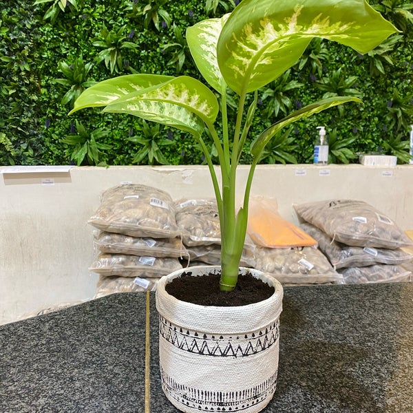 حدائق السلطان Sultan Garden Center Garden Center In Riyadh