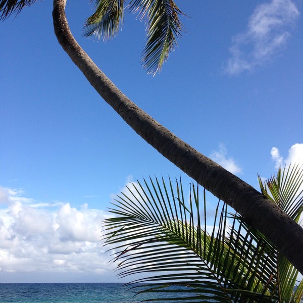Foto tomada en The Palms at Pelican Cove  por Loring el 2/16/2015