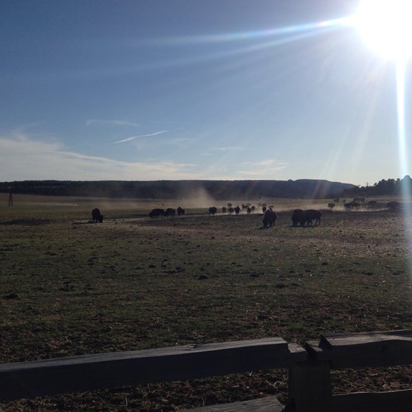 Foto diambil di Zion Mountain Ranch oleh Ekaterina A. pada 3/24/2014