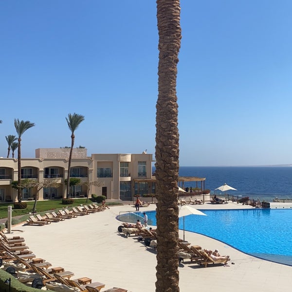 Aldiana makadi) 5*. Cleopatra luxury resort sharm. Проект mantera seaview residence. Номер в отеле клеопатра лакшери 16+ с бассейном своим. Jaz almazino 4*.