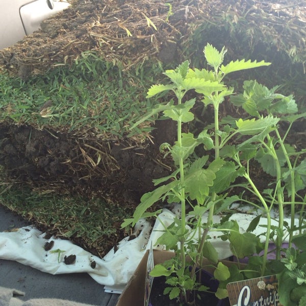 Gardening Supplies Hoppers Crossing
