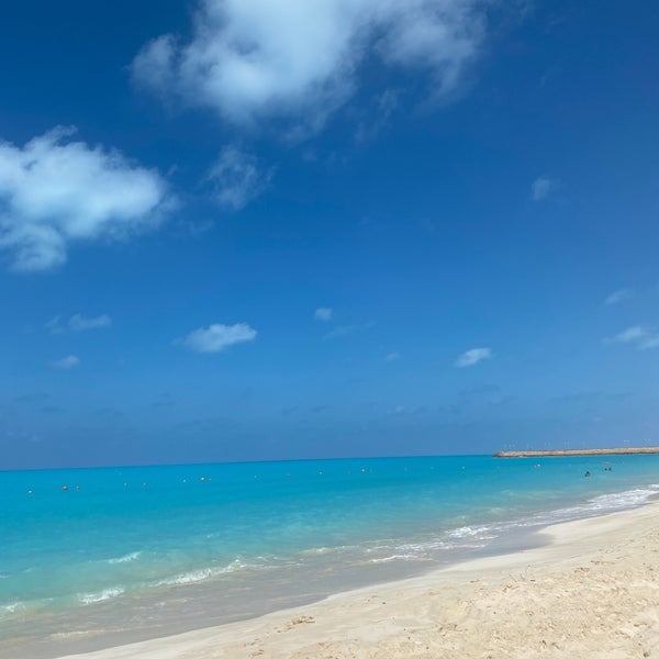 Beach 8. Beach 8. Барбадос пляж акра-бич. Барбадос анемо. Карибы барбадос.