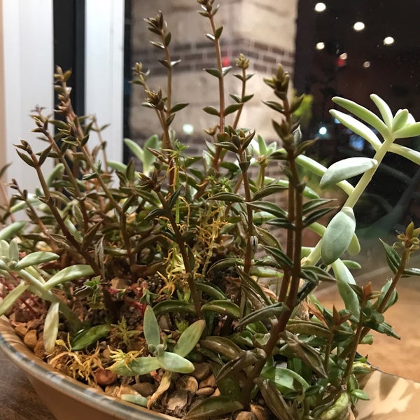 nancy's sky garden delivery