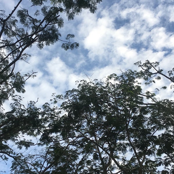 Bukit Ekspo 35 Tips
