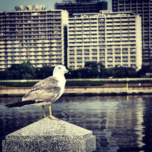 春海橋公園 豊洲 豊洲2 春海橋公園 豊洲 豊洲2