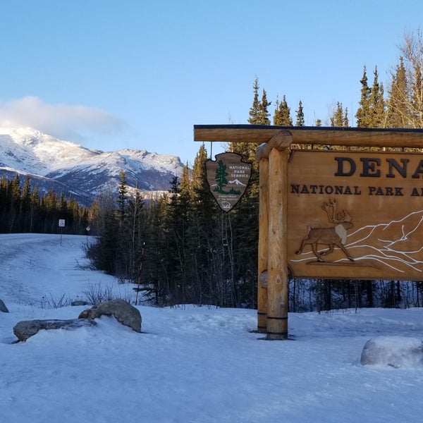 Hap Denali National Park Summer
