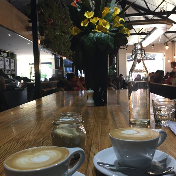 Axil Coffee Roasters Café in Hawthorn