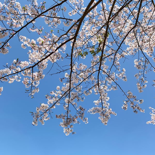 Photos At 丸岡公園 霧島市 鹿児島県