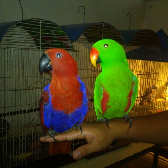 Photos At Taman Burung Taman Mini Indonesia Indah Taman Mini