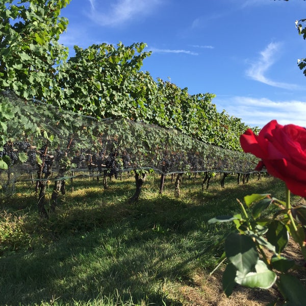 Photo taken at Jonathan Edwards Winery by Robert S. on 9/27/2015