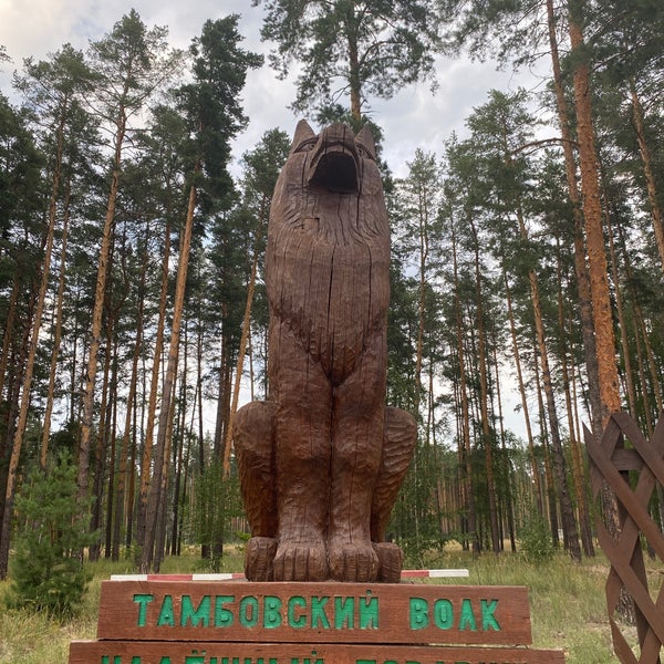 Памятник волку в тамбове. Тамбовский волк кафе. Тамбовский волк октябрьская 95б. Тамбовский волк квартал. Жидков 95 квартал фото.