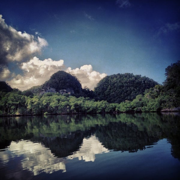 12/28/2012 tarihinde Guillermo José P.ziyaretçi tarafından Parque Nacional Los Haitises'de çekilen fotoğraf