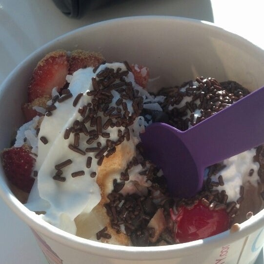 Yogurt City (Now Closed) Frozen Yogurt Shop in West Hartford