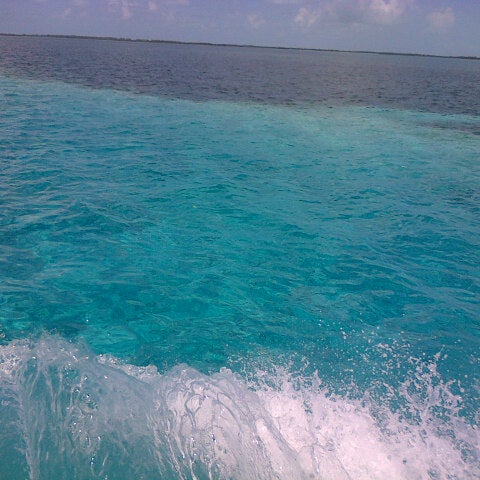 paradise beach bimini paradise beach bimini