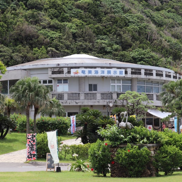 Photos At 奄美海洋展示館 Aquarium In 奄美市