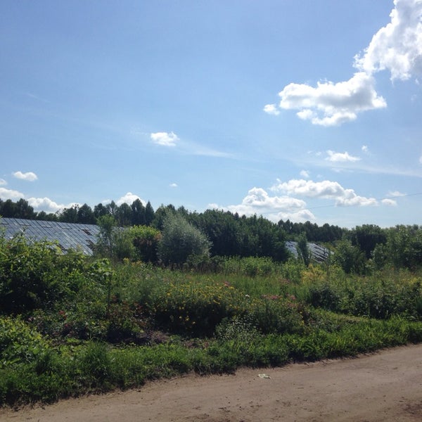 питомник растений венев. питомник пущино. пущино зубры. садовый центр елы-палы подстепки. питомник южный в серпуховском районе.