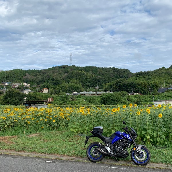 Photos At 五條市上野町ひまわり園 五條市 奈良県