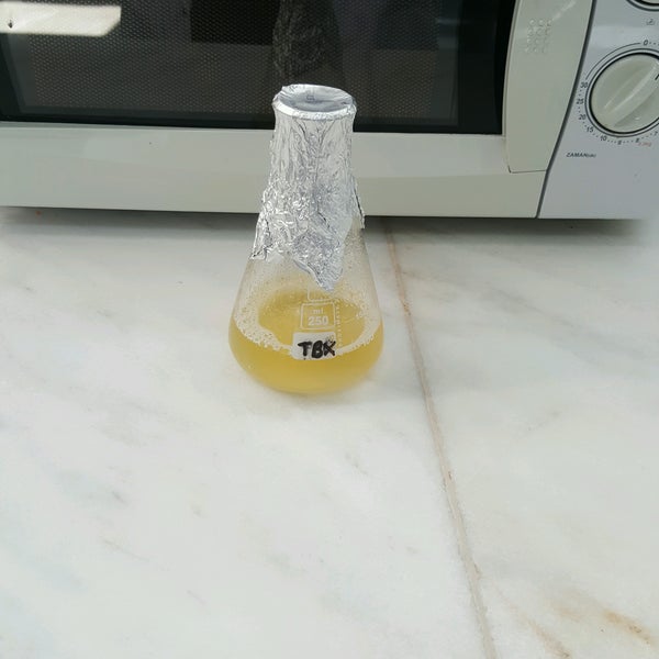 Elvan Çikolata ve Şekerleme Gıda San. A. Ş Tevfikbey 886