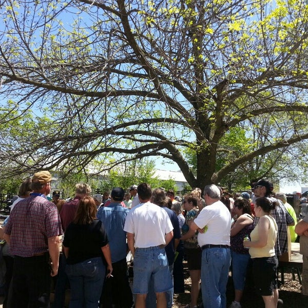 Chana Auction Sales barn Ashton, IL