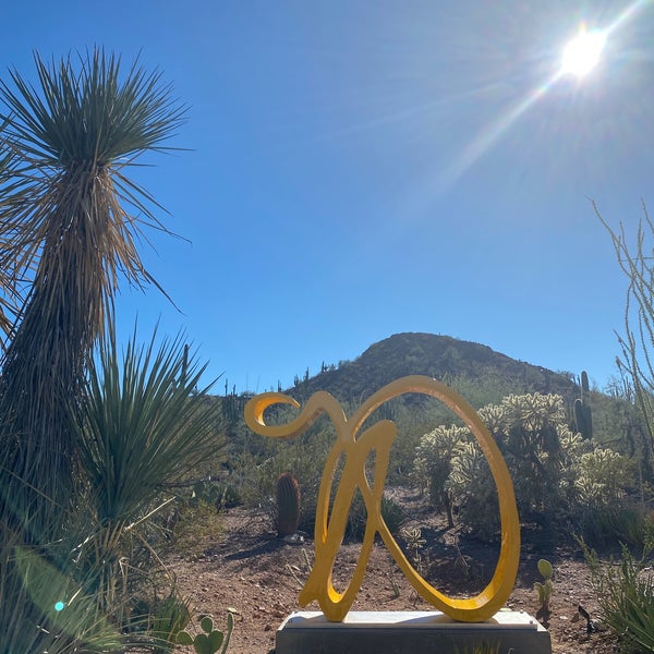 Photo taken at Desert Botanical Garden by Tim Y. on 11/6/2022