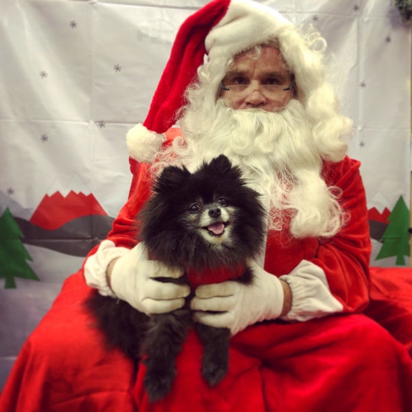 santa at petsmart 2018