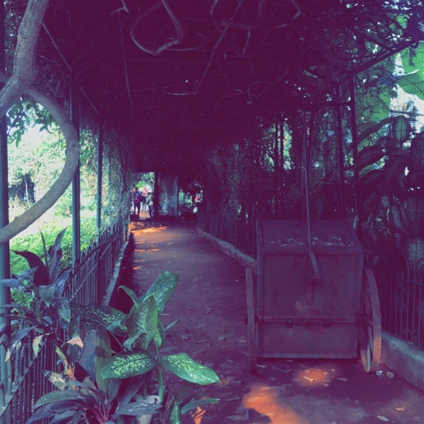 Photos at Hanging Gardens Park in Mumbai