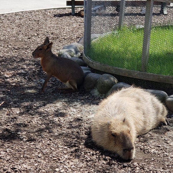 Photos At ふれあい動物王国 阿蘇ファームランド 南阿蘇村 熊本県