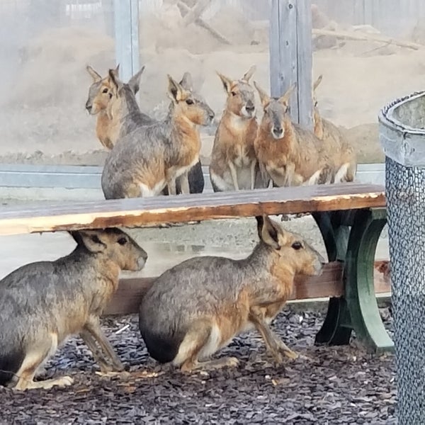 ふれあい動物王国 阿蘇ファームランド 南阿蘇村 熊本県