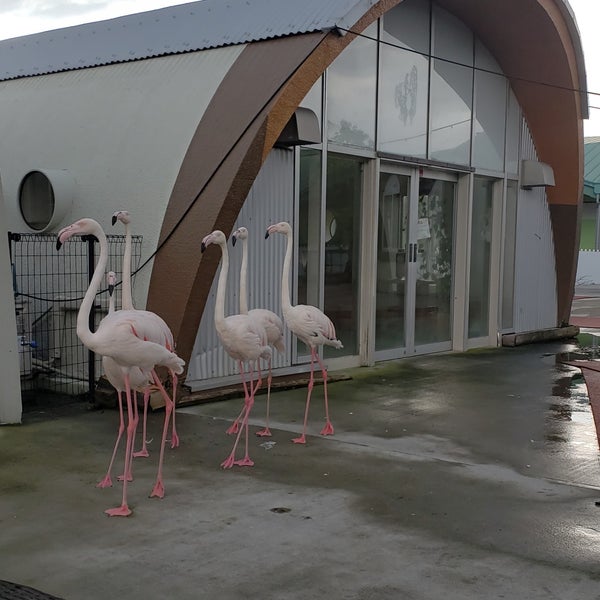 ふれあい動物王国 阿蘇ファームランド 南阿蘇村 熊本県 ふれあい動物王国 阿蘇ファームランド 南阿蘇村 熊本県