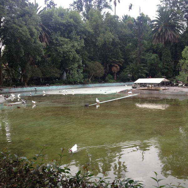 Foto diambil di Parque México oleh ANa M. pada 5/13/2013
