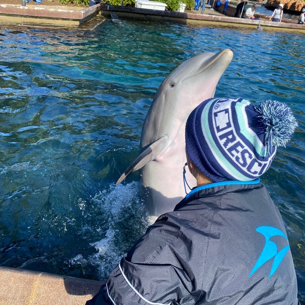 Photo taken at SeaWorld Orlando by Mohammed on 12/31/2023