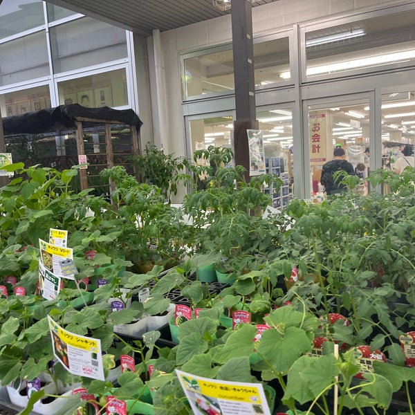 Fotos En 島忠 中野店 中野区 中野2 10 11