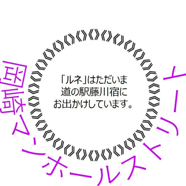 岡崎マンホールストリート 岡崎市 愛知県